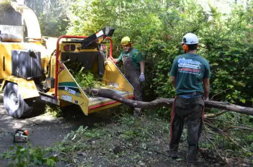 tree services Dalton Gardens